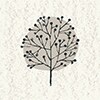 Grey Tree
